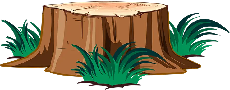 Tree Wood