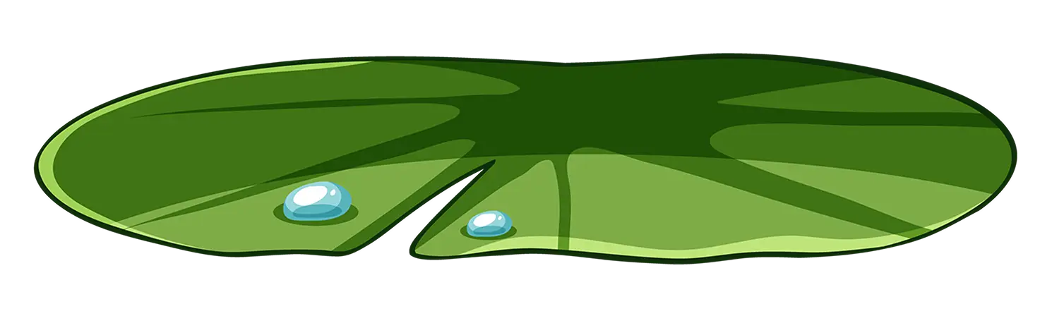 leaf Image